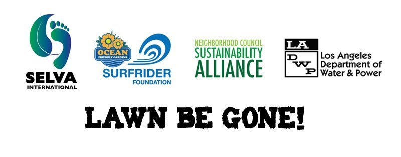 Host or participate in a LADWP Lawn Be Gone Hands On Workshop