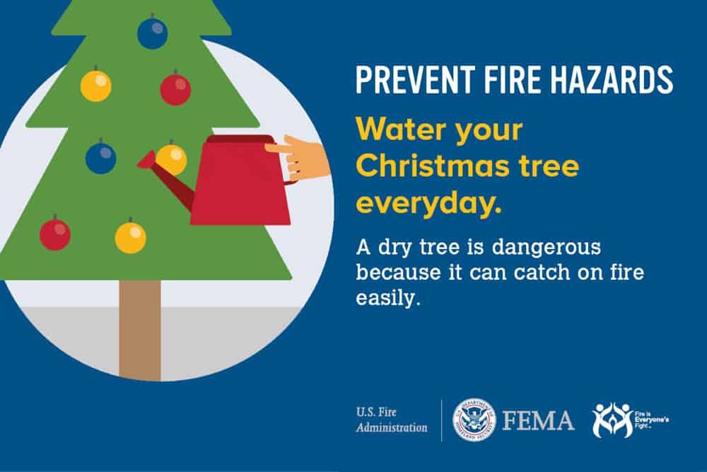 Prevent Fire Hazards: Water Your Christmas Tree Every Day