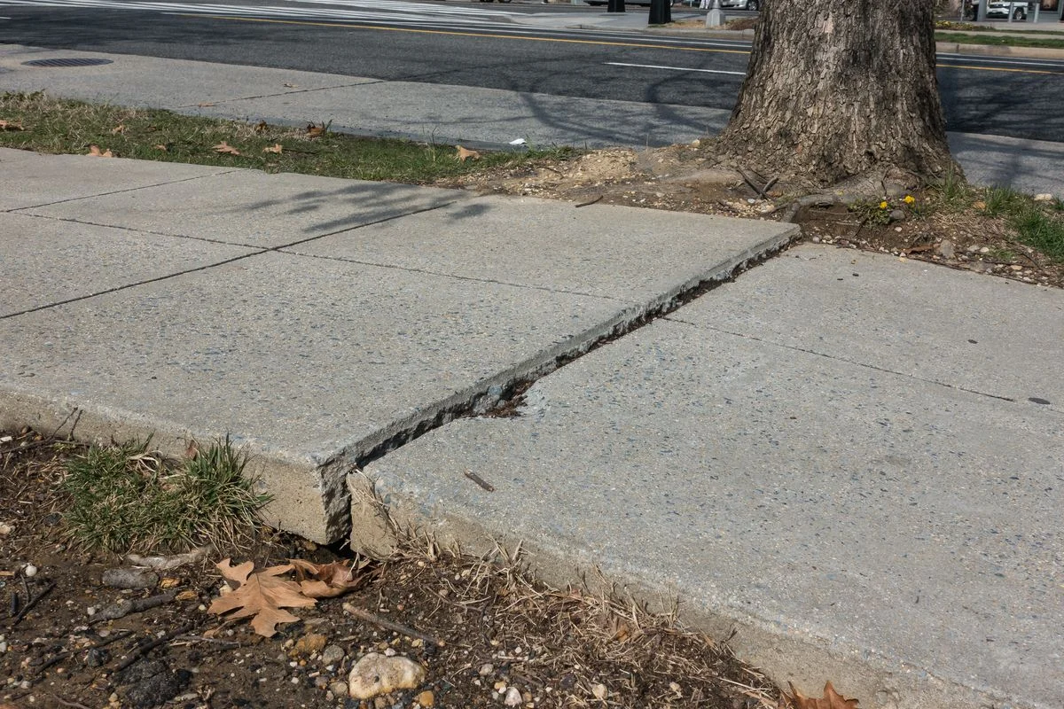 Draft EIR Report on the City’s Sidewalk Repair Program is Now Available for Public Comment