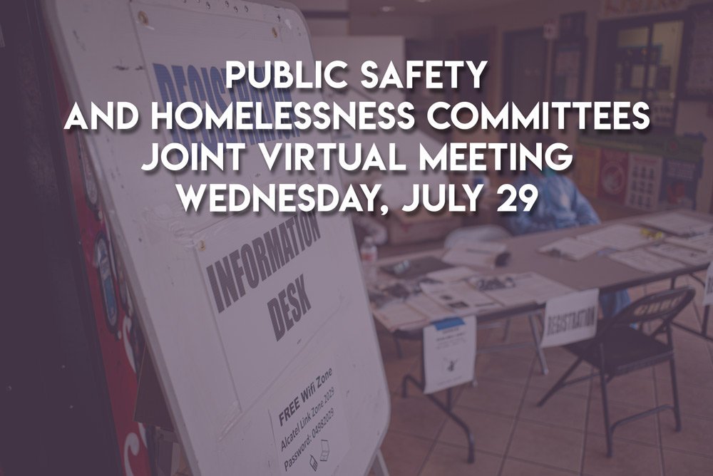 GHSNC Joint Public Safety and Homelessness Committees Meeting – Wednesday, July 29, 2020