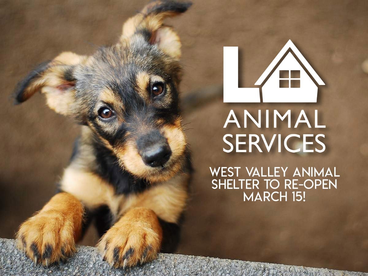 West Valley Animal Shelter to Reopen Next Week, City Announces