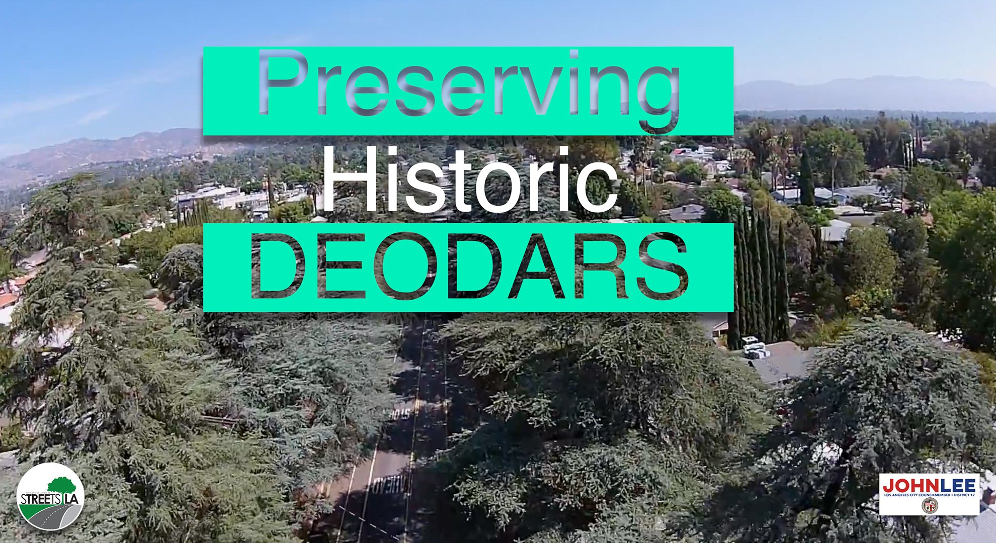 Preserving Granada Hills’ Historic Deodar Trees