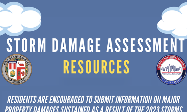 Storm Damage Resources