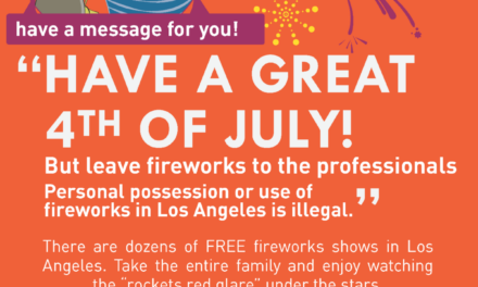 Have a great 4th of July, but leave fireworks to the professionals
