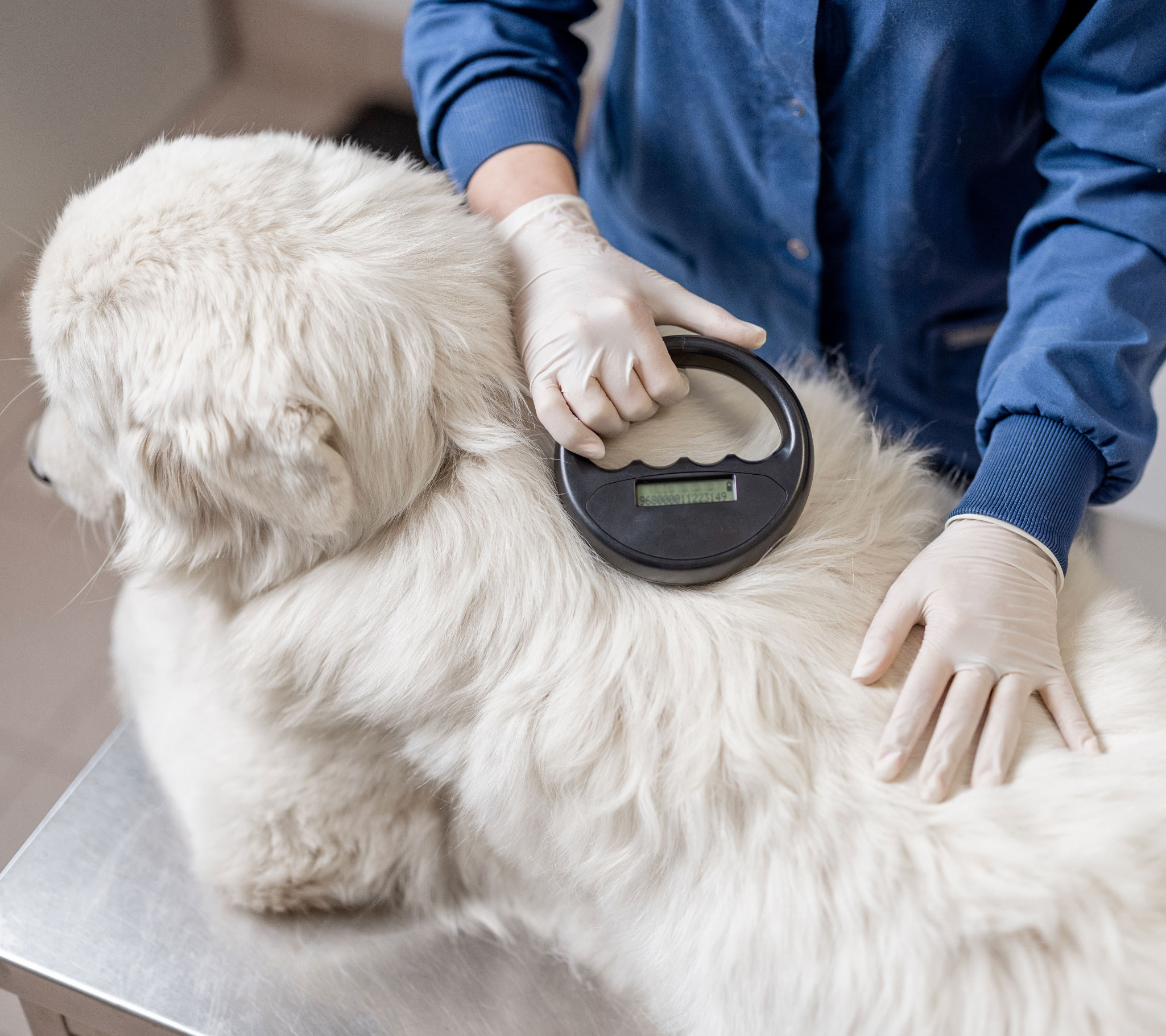 free-microchips